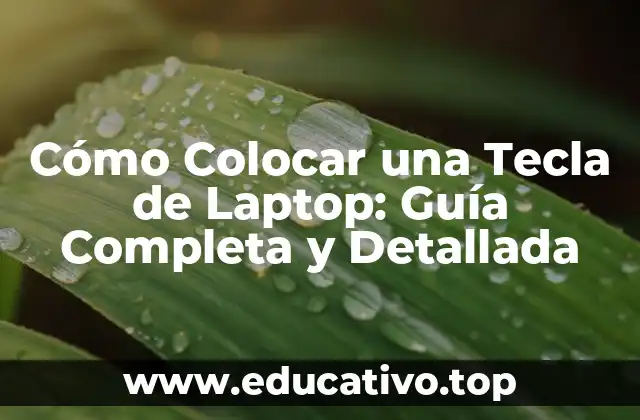 Cómo Colocar una Tecla de Laptop: Guía Completa y Detallada