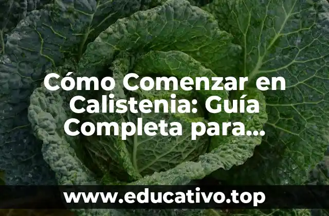 Cómo Comenzar en Calistenia: Guía Completa para Principiantes