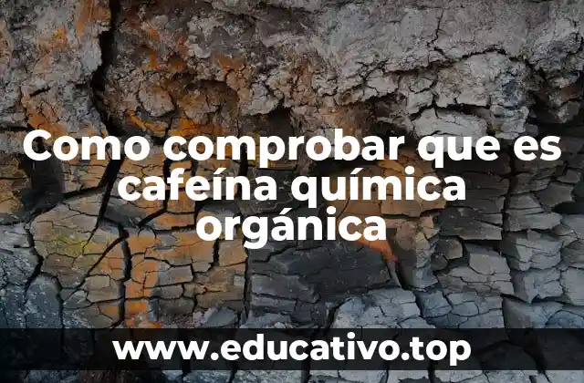 Como comprobar que es cafeína química orgánica