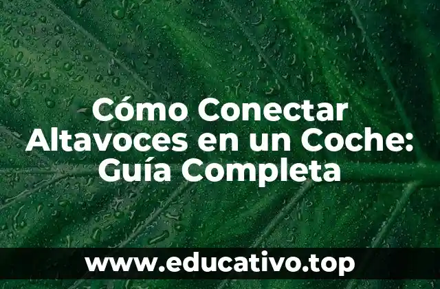 Cómo Conectar Altavoces en un Coche: Guía Completa