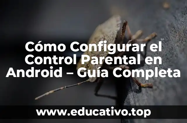 Cómo Configurar el Control Parental en Android – Guía Completa