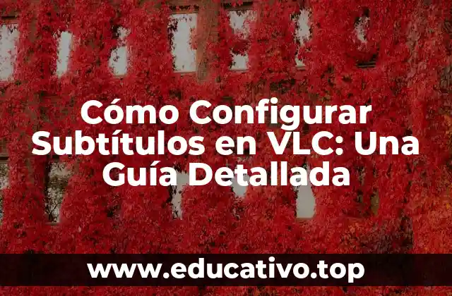 Cómo Configurar Subtítulos en VLC: Una Guía Detallada