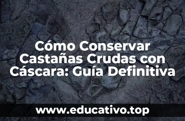 Cómo Conservar Castañas Crudas con Cáscara: Guía Definitiva