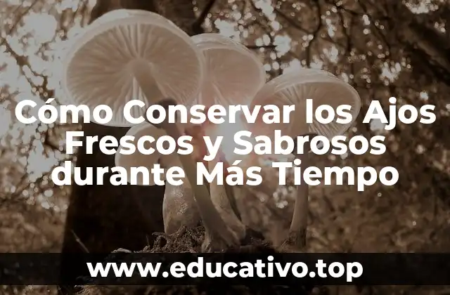 Cómo Conservar los Ajos Frescos y Sabrosos durante Más Tiempo