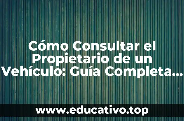 Cómo Consultar el Propietario de un Vehículo: Guía Completa y Fácil