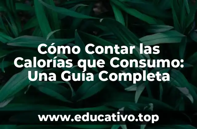 Cómo Contar las Calorías que Consumo: Una Guía Completa