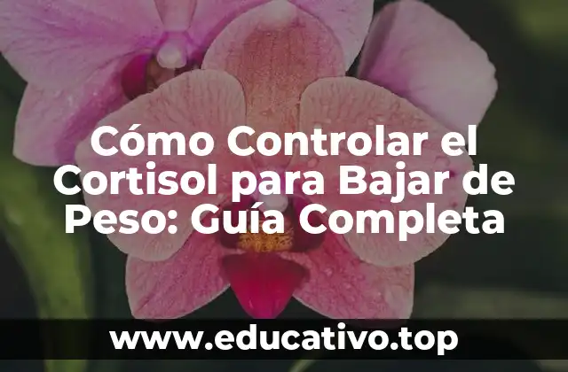 Cómo Controlar el Cortisol para Bajar de Peso: Guía Completa