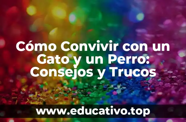 Cómo Convivir con un Gato y un Perro: Consejos y Trucos