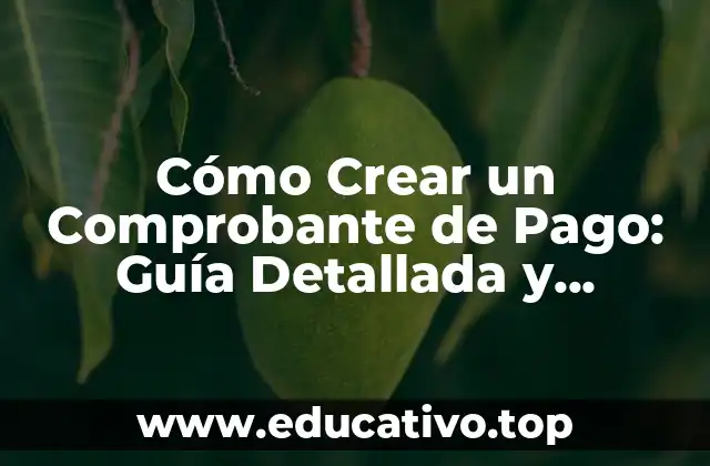 Cómo Crear un Comprobante de Pago: Guía Detallada y Completa