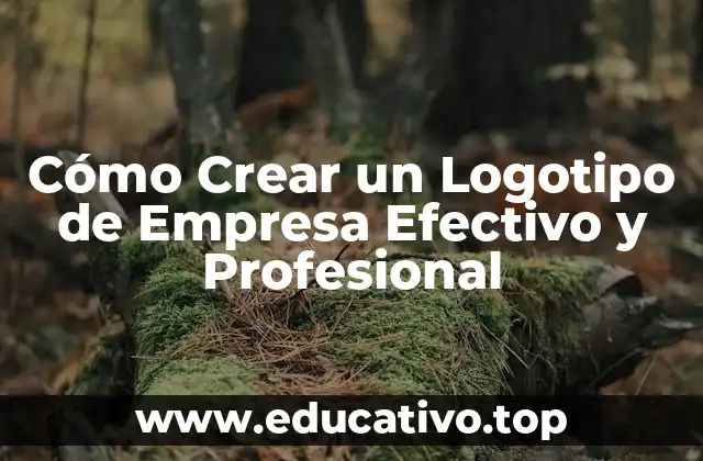 Cómo Crear un Logotipo de Empresa Efectivo y Profesional