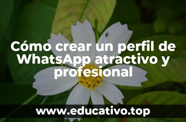 Cómo crear un perfil de WhatsApp atractivo y profesional