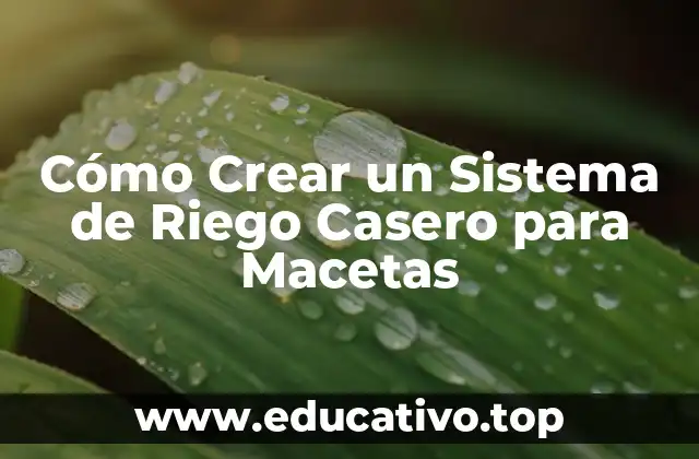 Cómo Crear un Sistema de Riego Casero para Macetas