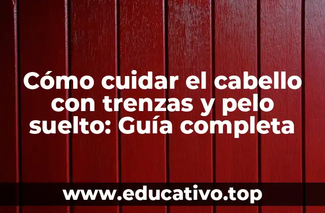 Cómo cuidar el cabello con trenzas y pelo suelto: Guía completa