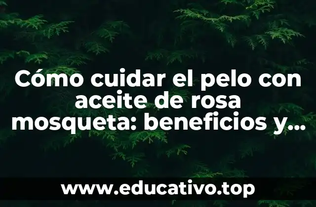 Cómo cuidar el pelo con aceite de rosa mosqueta: beneficios y usos
