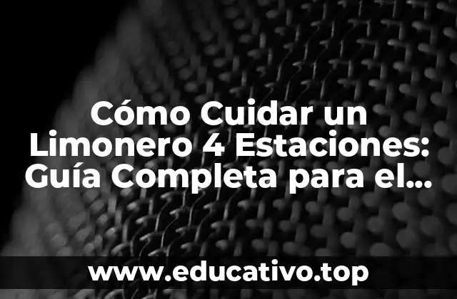 Cómo Cuidar un Limonero 4 Estaciones: Guía Completa para el Éxito