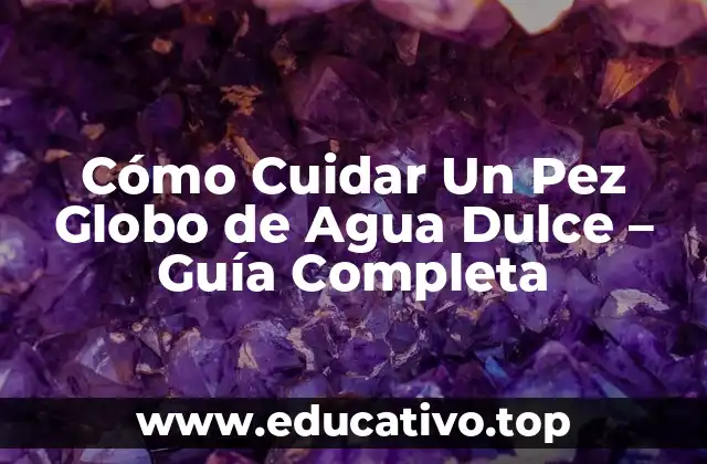 Cómo Cuidar Un Pez Globo de Agua Dulce – Guía Completa