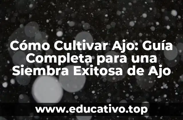 Cómo Cultivar Ajo: Guía Completa para una Siembra Exitosa de Ajo