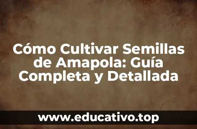 Cómo Cultivar Semillas de Amapola: Guía Completa y Detallada