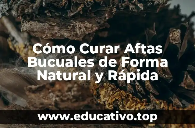 Cómo Curar Aftas Bucuales de Forma Natural y Rápida