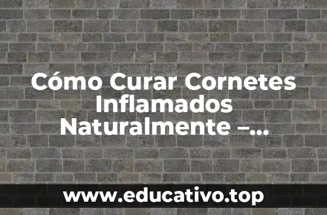 Cómo Curar Cornetes Inflamados Naturalmente – Remedios Caseros Eficientes