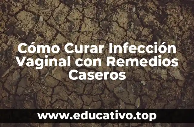 Cómo Curar Infección Vaginal con Remedios Caseros
