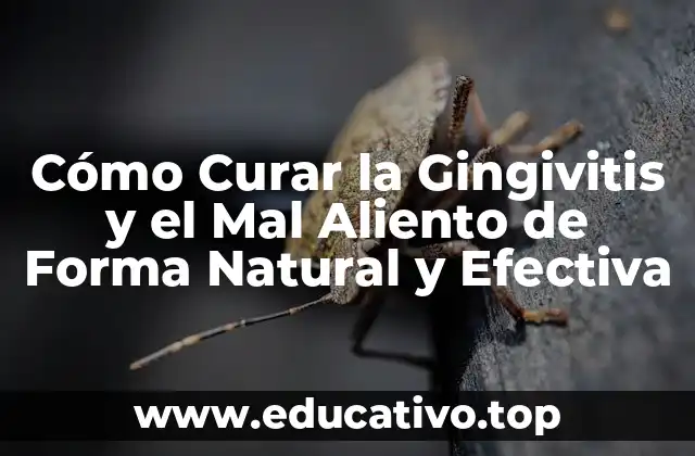 Cómo Curar la Gingivitis y el Mal Aliento de Forma Natural y Efectiva