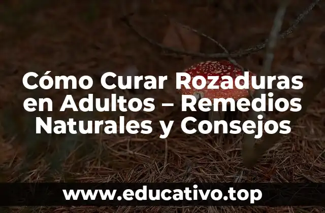 Cómo Curar Rozaduras en Adultos – Remedios Naturales y Consejos