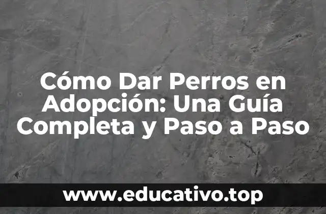 Cómo Dar Perros en Adopción: Una Guía Completa y Paso a Paso