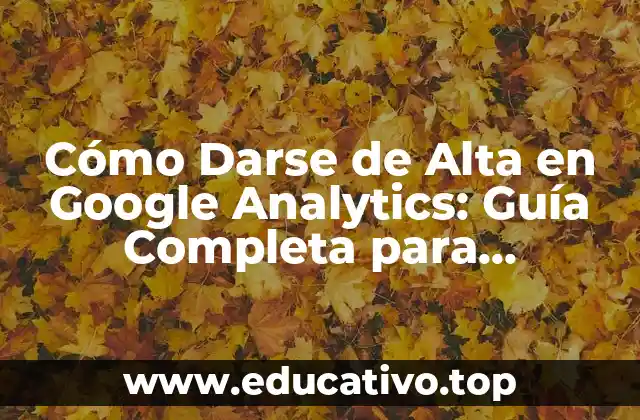 Cómo Darse de Alta en Google Analytics: Guía Completa para Principiantes