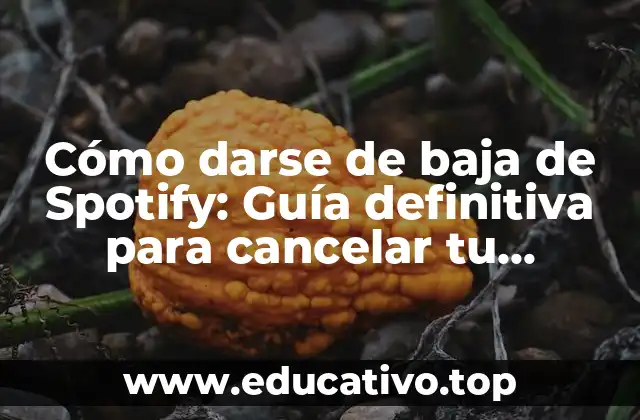 Cómo darse de baja de Spotify: Guía definitiva para cancelar tu suscripción