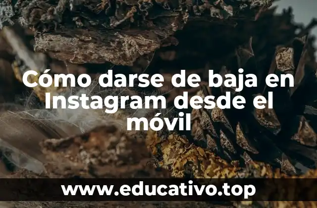 Cómo darse de baja en Instagram desde el móvil