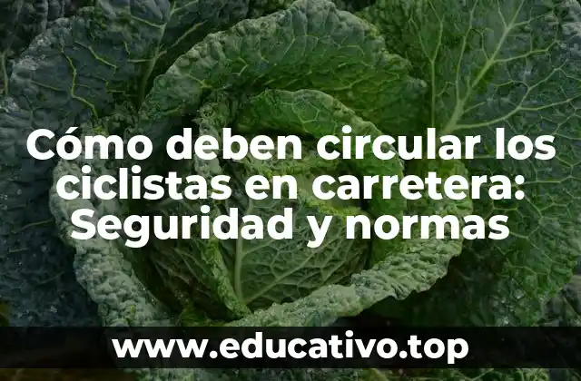 Cómo deben circular los ciclistas en carretera: Seguridad y normas