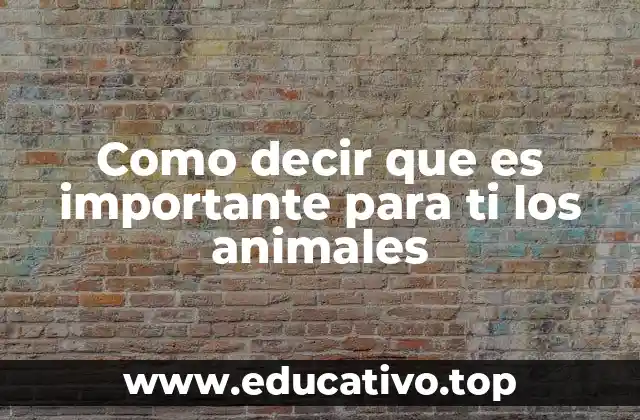 Como decir que es importante para ti los animales