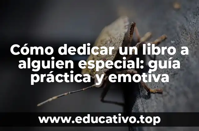 Cómo dedicar un libro a alguien especial: guía práctica y emotiva