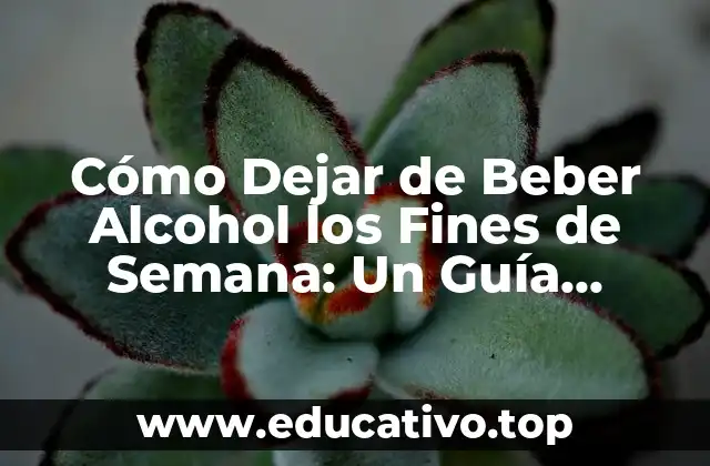 Cómo Dejar de Beber Alcohol los Fines de Semana: Un Guía Completa