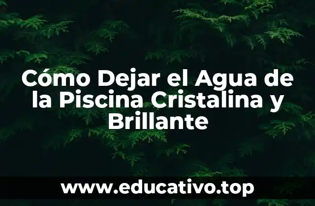Cómo Dejar el Agua de la Piscina Cristalina y Brillante