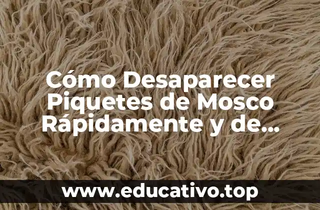 Cómo Desaparecer Piquetes de Mosco Rápidamente y de Forma Natural
