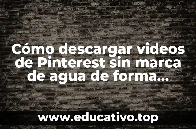 ¿Por qué descargar videos de Pinterest sin marca de agua?