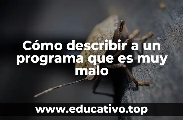 Cómo describir a un programa que es muy malo