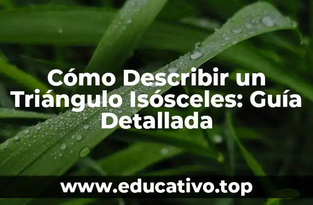 Cómo Describir un Triángulo Isósceles: Guía Detallada