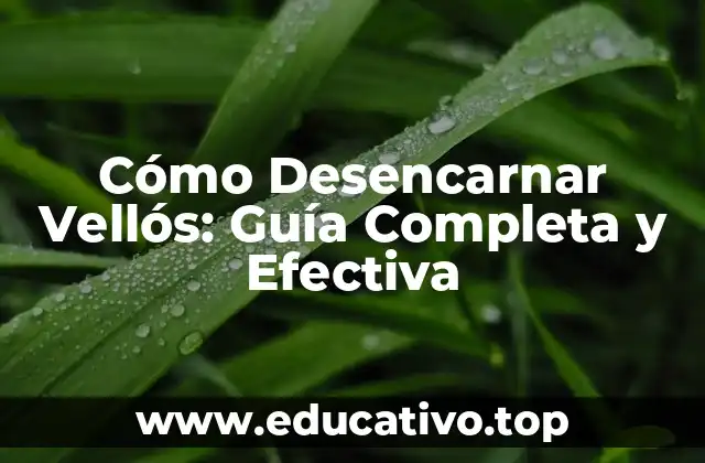Cómo Desencarnar Vellós: Guía Completa y Efectiva
