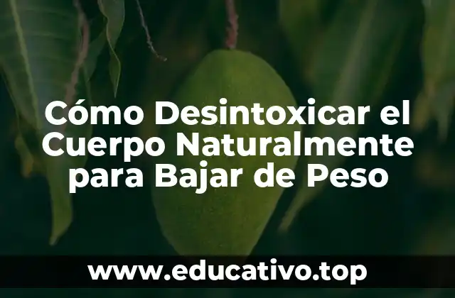 Cómo Desintoxicar el Cuerpo Naturalmente para Bajar de Peso