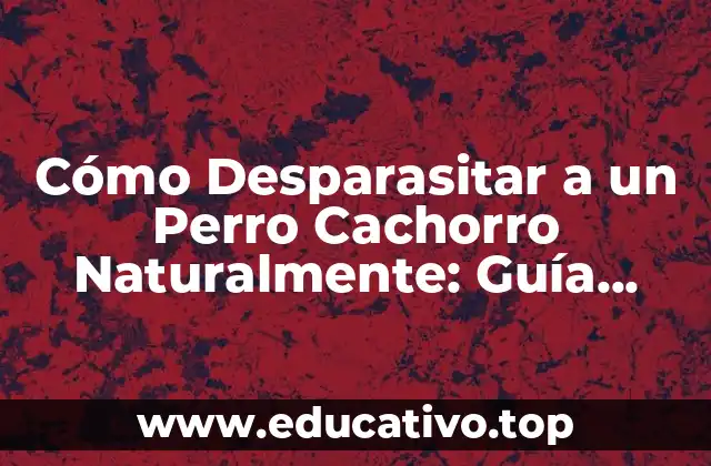 Cómo Desparasitar a un Perro Cachorro Naturalmente: Guía Completa
