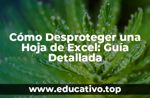 Cómo Desproteger una Hoja de Excel: Guía Detallada