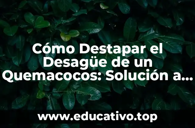 Cómo Destapar el Desagüe de un Quemacocos: Solución a Problemas de Drenaje