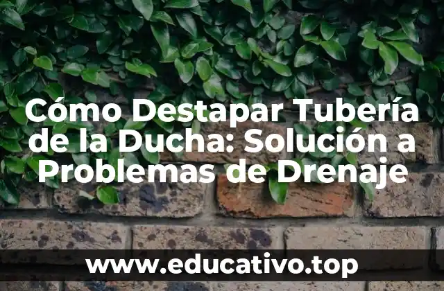 Cómo Destapar Tubería de la Ducha: Solución a Problemas de Drenaje