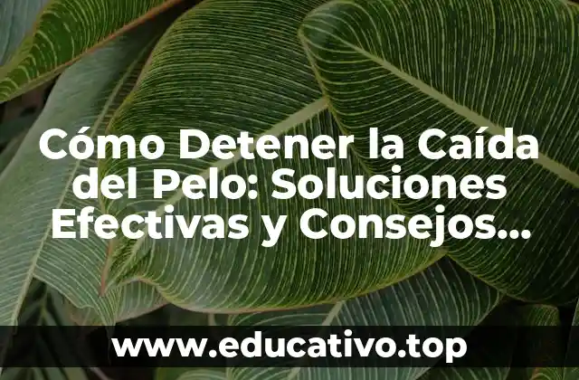 Cómo Detener la Caída del Pelo: Soluciones Efectivas y Consejos Prácticos
