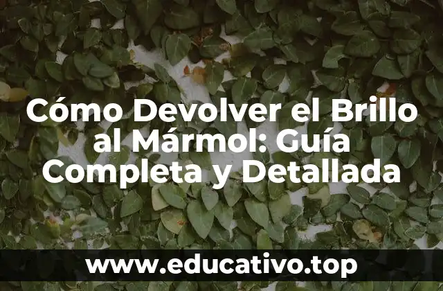 Cómo Devolver el Brillo al Mármol: Guía Completa y Detallada
