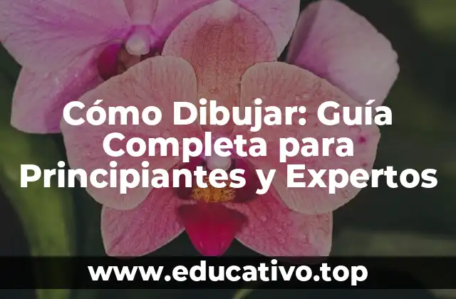 Cómo Dibujar: Guía Completa para Principiantes y Expertos