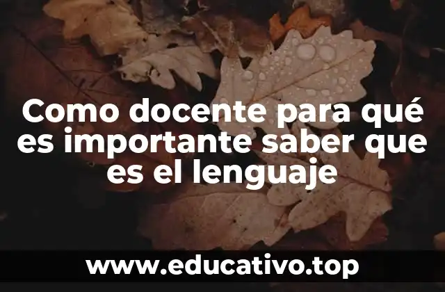 Como docente para qué es importante saber que es el lenguaje